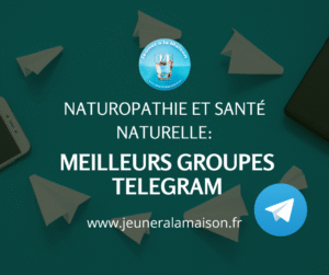 Meilleurs groupes Telegram