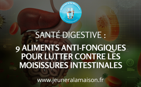 Santé digestive